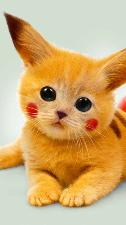 chaton pikachu puzzle en ligne